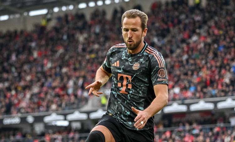 主导的赛季 主导的赛季